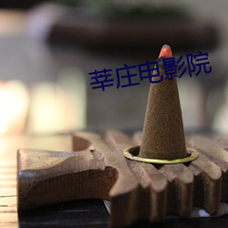 莘庄电影院 （米粮川）