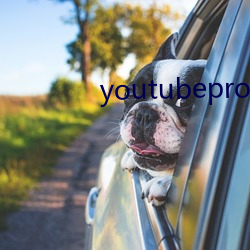 youtubeproxy