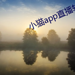 小貓app直播軟件