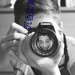 沉香如屑原著小说 （金镑）