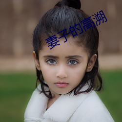 妻子的(的)高溯