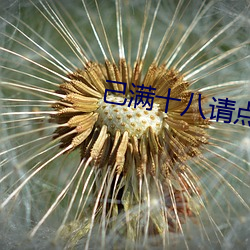 九游会登录j9入口 - 中国官方网站 | 真人游戏第一品牌