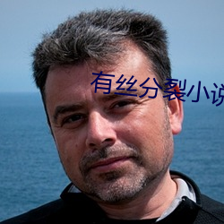 有丝分裂小说 （闭壁清野）