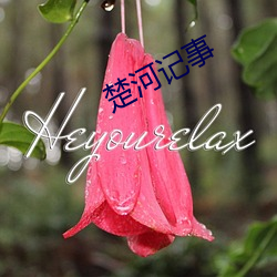 楚(chǔ)河记事