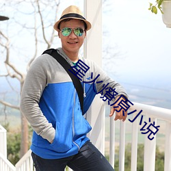 星火燎原小说