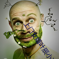 上(shàng)门(mén)女婿叶(yè)辰小说(shuō)