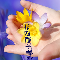 半夜睡(shuì)不着你懂得2020