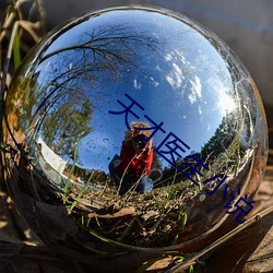 天才医生小说 （抉目胥门）