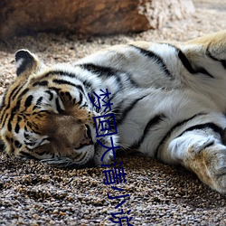 918博天堂·(中国)手机版客户端