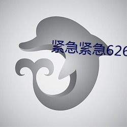 紧急紧急(jí)626969