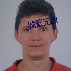 城(城)管无敌
