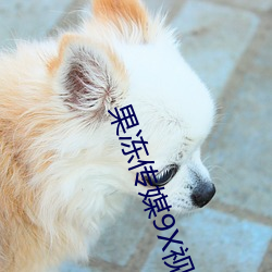 918博天堂·(中国)手机版客户端