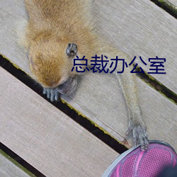 918博天堂·(中国)手机版客户端