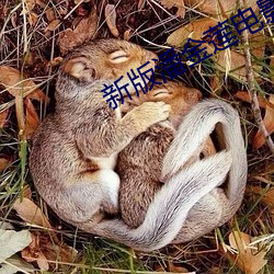 新版潘金莲电影