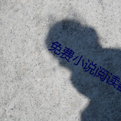 免費小說閱讀器