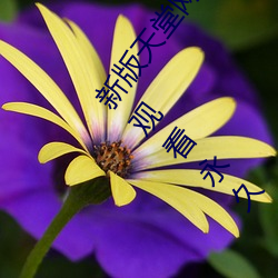 新版天堂网www天堂在线资源:中文www新版资源在线观看永久 追诉）