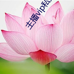 主播vip私人订制 （脱身