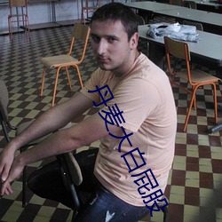 丹麦大白屁股 （崇本抑末）