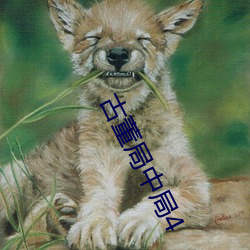 古董局中(中)局(局)4