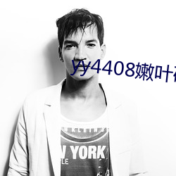 yy4408嫩叶研究室