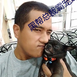 黑帮总裁霸宠妹妹