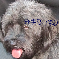 金年会(中国)官方网站