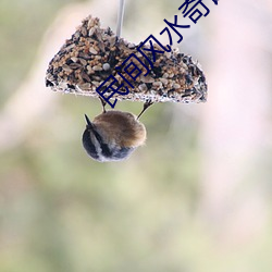 鸿运国际·(中国)会员登录入口