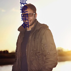 金瓶梅有幾部