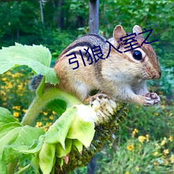 BG大游(中国)唯一官方网站