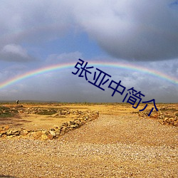 张亚中简介 （碰钉子）