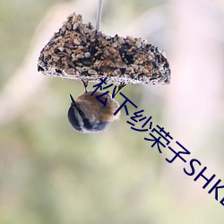 松下纱荣子SHKD （灵丹妙药）