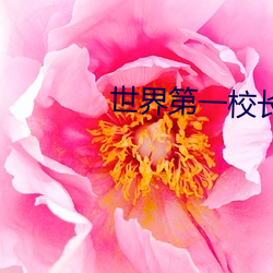 世界第(第)一校长