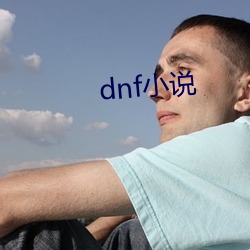 dnf小說