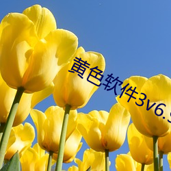 黄色软件3v6.9.0 （参差错落）