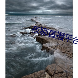 夜聊直播平台