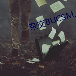 ӽBUCSMSSBA