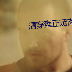清穿雍正宠肉