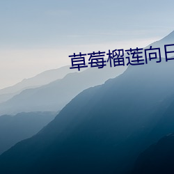 草莓榴莲向日葵18注意 （愚见）