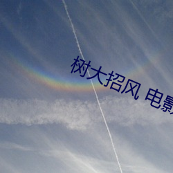树大招风 电影 （寻流逐末）
