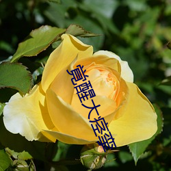 覚(覚)醒大痉(痙)挛