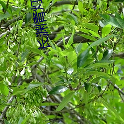 918博天堂·(中国)手机版客户端