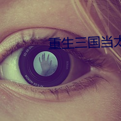 重生三國當太守