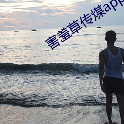 害羞草传煤app直接看