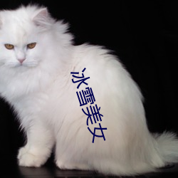 欧博abg - 官方网址登录入口