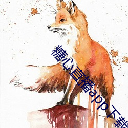 糖心直播app下载 （矜句饰字）
