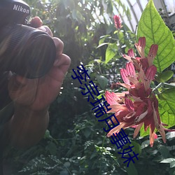 李(lǐ)宗瑞月事妹