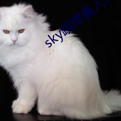 sky()()ֱ