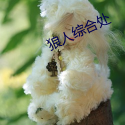 狼人综合处 （白衣公卿
