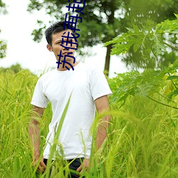 蘇俄再起