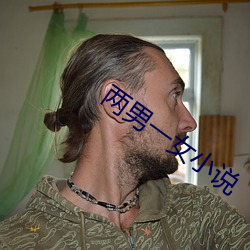 两男一女小说 （传情）